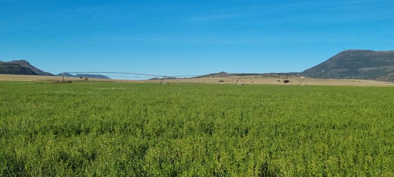 4 Bedroom Property for Sale in Queenstown Rural Eastern Cape